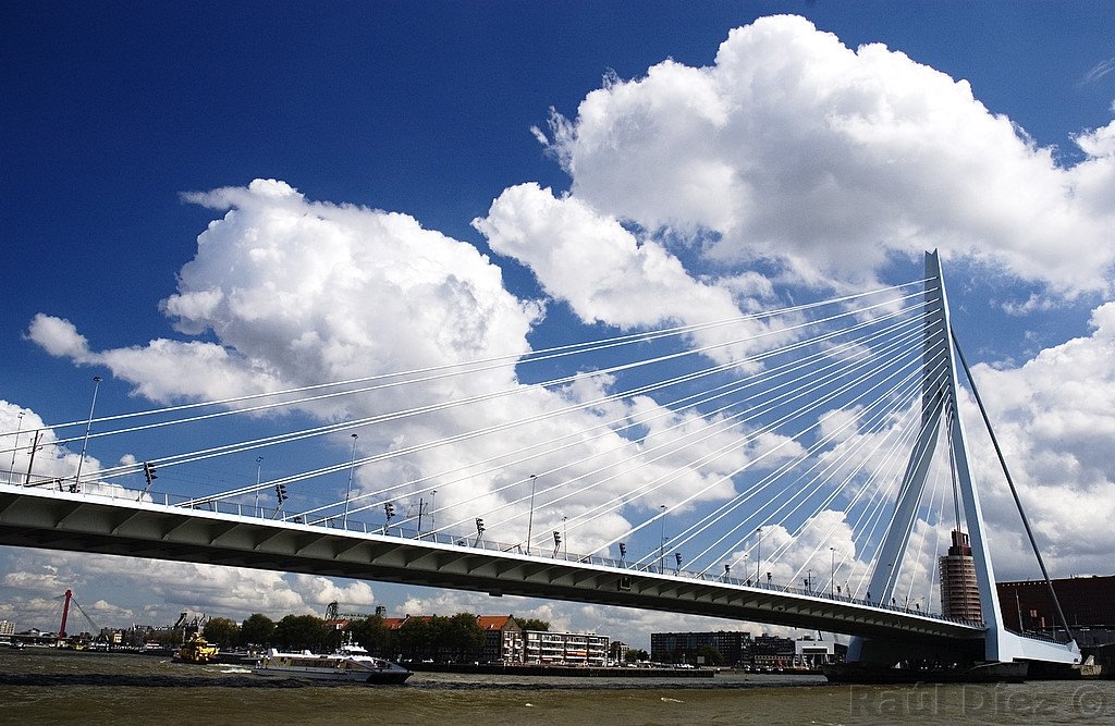 Puente de Erasmo (Rotterdam)